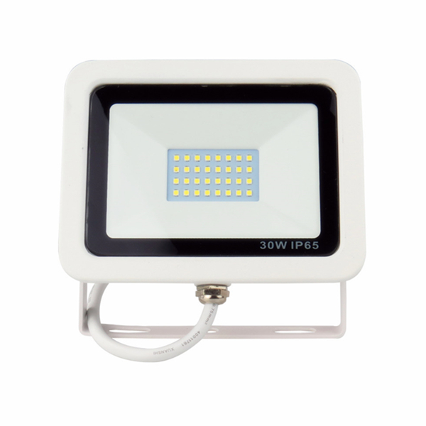 IP65 30W LED Floodlight for Outdoor Lighting with die-casting Aluminum Black or White Body