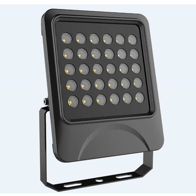 10/25/45/60deg or 90deg black case 30W LED Flood Lamp IP66 Outdoor die-casting Aluminum