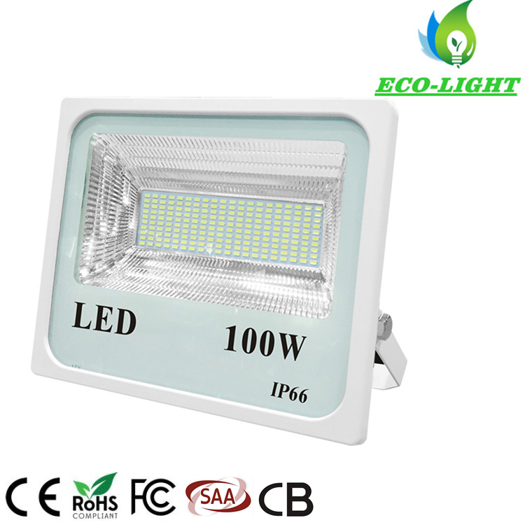 100W Outdoor Lighting High Power IP66 Professional Waterproof LED SMD Flood light