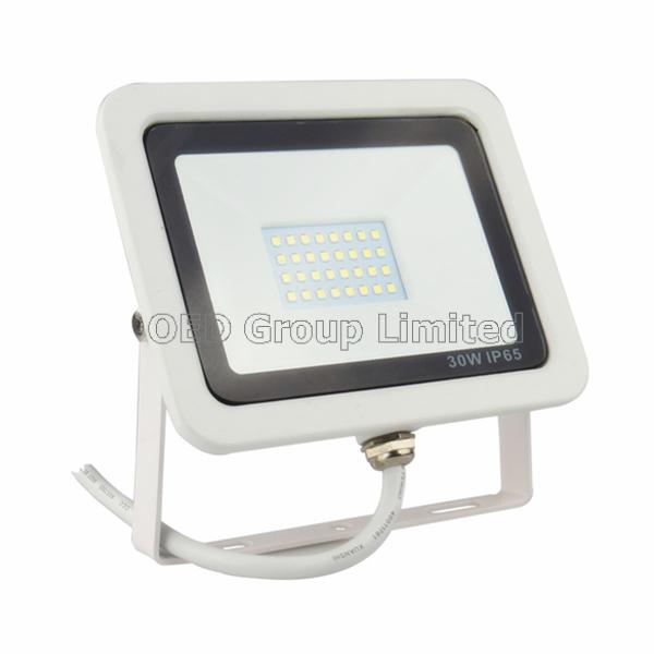 IP65 30W LED Floodlight for Outdoor Lighting with die-casting Aluminum Black or White Body