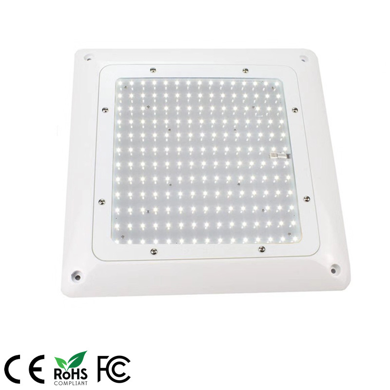 Meanwell IP65 75W 100W Food workshop LED Canopy Lighting